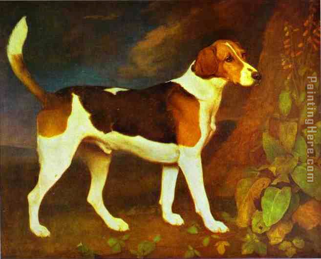 A Foxhound,Ringwod painting - George Stubbs A Foxhound,Ringwod art painting
